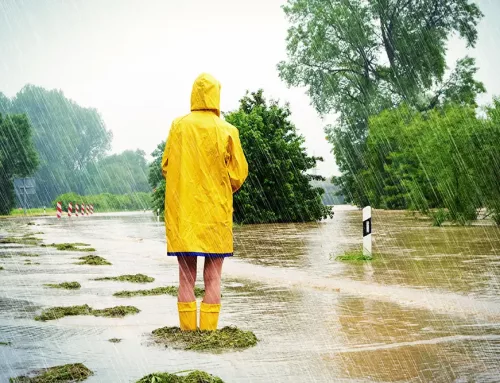 Neue App checkt Ihre Hochwasser-Gefahr.