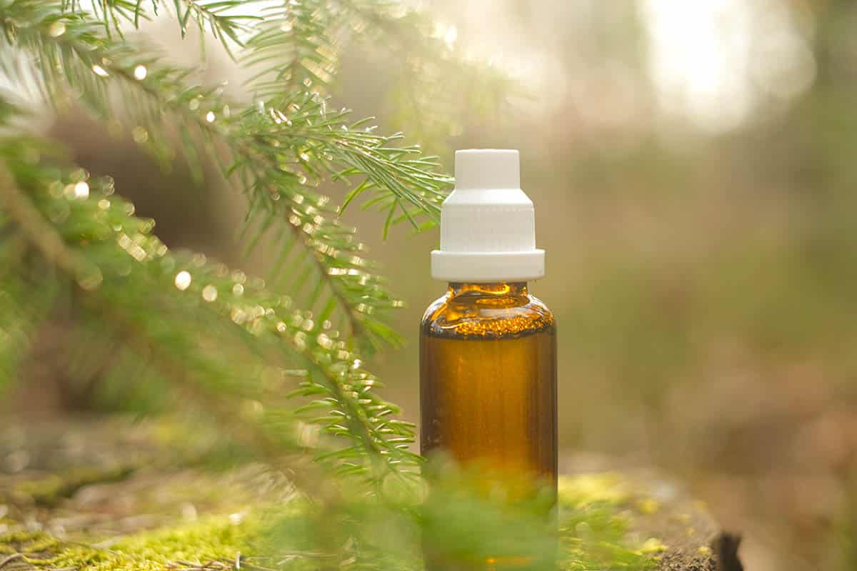 Kunststoff-Fenster-Profile aus Kiefernöl