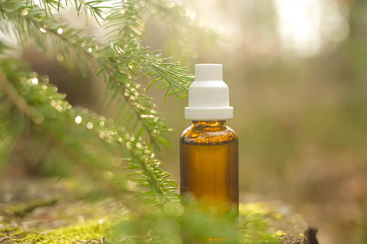 Kunststoff-Fenster-Profile aus Kiefernöl