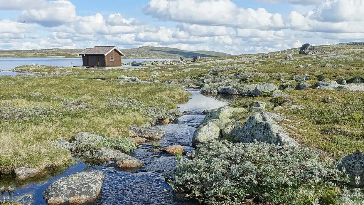 Fenstermontage in Schweden